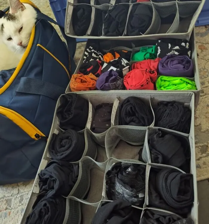 Tame the chaos in your underwear drawer and say goodbye to the sock-and-underwear scramble! <a style="display:inline;" href="https://www.amazon.com/Underwear-Organizer-Dividers-Foldable-Organizers/dp/B08HCZZQ3B?crid=A51D4H4831C7&dib=eyJ2IjoiMSJ9.GC8gWzSlsAu3eIMMtDifbj6baZFhLO5F5H1hdmxXJg4R42-tWEQ8EsPm8idKdCJK3FuOCNWf__ZSHRxEnY_iisiLe6-yUQagvAYuQhpRmbdcRm1sVmQCocXYWSNc-f1SOSm0wRcDqZOAlXAIIcGkN2hu0SpczzYX3NIF8gm8NZsWeXCGRZpcHXxlKaIrGz7JjgqA3TU-xzSToa9UBdWxY6c6pBObU8omP0IOeMweRXJ31-sm2yKI8_TGraYzZ2fuCPoXp1T_3FTh94lMljQ7UKJlJOl1k1NTWTJOUBWadfc.a6z1CjLqtjTraInggHka4pFwaWeLoVBevRr-YW35TJs&dib_tag=se&keywords=underwear%2Bdividers%2Bfor%2Bdrawers&qid=1723180570&sprefix=underwear%2Bdi%2Caps%2C400&sr=8-1-spons&sp_csd=d2lkZ2V0TmFtZT1zcF9hdGY&th=1&linkCode=ll1&tag=bpcamel-20&linkId=df91a5927bf96d4c44eb797787959b65&language=en_US&ref_=as_li_ss_tl " target="_blank"><span style="font: inherit; color: #d74b1f;">Drawer dividers</span> are your secret weapon for maintaining order and easily finding what you need. No more rummaging through a jumbled mess!