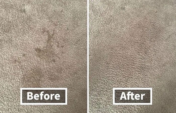 Don't Let Stains Win! Fight Back With This <a Style="Display:inline;" Href="Https://Www.amazon.com/Folex-Carpet-Spot-Remover-32/Dp/B001b0v5gg?ie=utf8&linkcode=ll1&tag=bpdolphin-20&linkid=4e5e8dc7bc14a62aa11cd52b796fa925&language=en_us&ref_=as_li_ss_tl"_blank"><span Style="Font: Inherit; Color: #d74b1f;"> Folex Instant Carpet Spot Remover</Span>