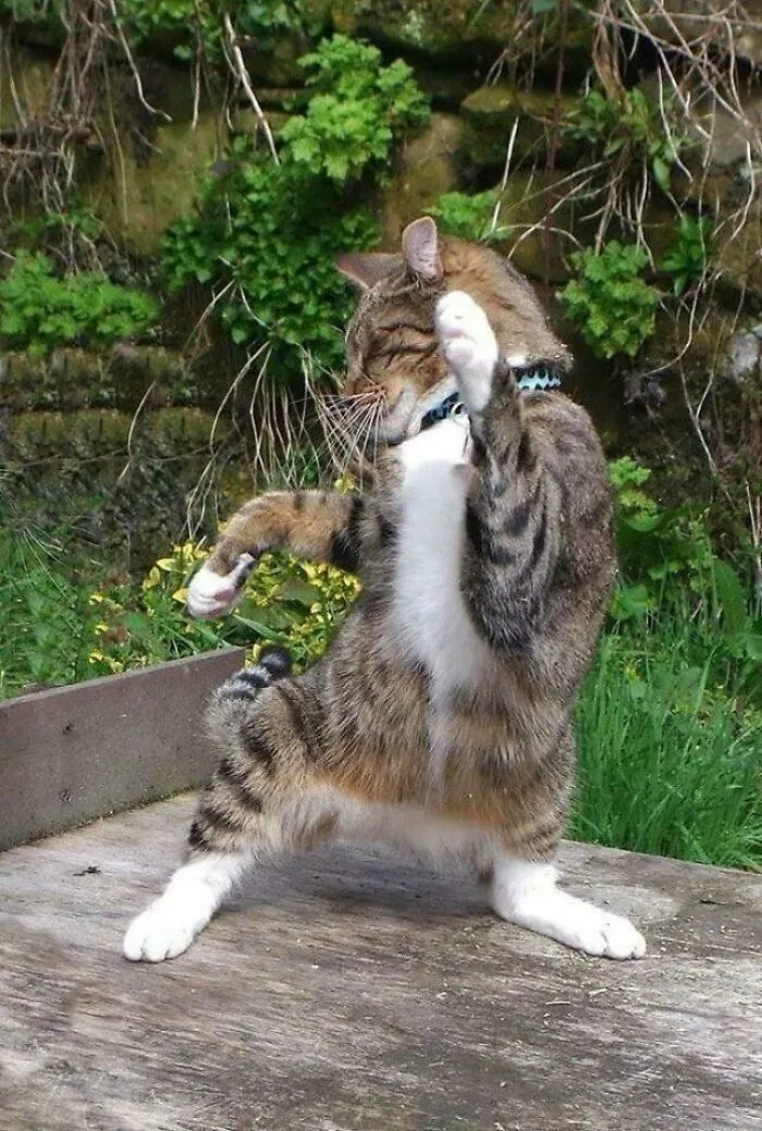Zumba Instructor