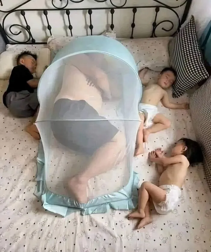 65 Imágenes sacadas del lado cómico y extravagante de Internet