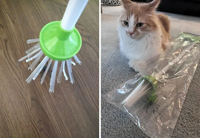 Arachnophobes Rejoice! This <a Style="Display:inline;" Href="Https://Www.amazon.com/My-Critter-Catcher-Spider-Insect/Dp/B0192mb5rs?crid=1bg1dwdsbk1ci&dib=eyj2ijoimsj9.lirjparzdmgwxyuow-Csbxa5zo7skrmi_bfsoeqt5m6x_tmaolqvm4m7ix8_y0wlkd9kkgd7exatxzkwvdsuelof3vnzqhbxhao4tsj4vojklr6pt1pus4ivg7y5gqc8cv2vb8l7bdjdpkrz3khbnf1axng-Ft12z1seg8yaplpj1pgbtkast-7gp9yfqdtvocdbdjxwkgqvcnpb5favgmymzvxavn6aq4otlnviwdmwr31eakhs91p0y_7schw2ysuaii4cremntv2hkp8ckrwdz_ez2n4uvriuwow3uxo.mdthwkzndn4kgvsq9fltkycsq3xgdk252hivo1nyta8&dib_tag=se&keywords=spider%2bcatcher&qid=1723196408&sprefix=spider%2bcatcher%2caps%2c234&sr=8-3-Spons&sp_csd=d2lkz2v0tmftzt1zcf9hdgy&th=1&linkcode=ll1&tag=bpostrich-20&linkid=c17ea4444c7104638576a42b862b0360&language=en_us&ref_=as_li_ss_tl" Target="_blank"><span Style="Font: Inherit; Color: #d74b1f;"> Spider And Insect Catcher</Span> Lets You Relocate Those Eight-Legged Roommates Without Breaking A Sweat (Or A Scream)