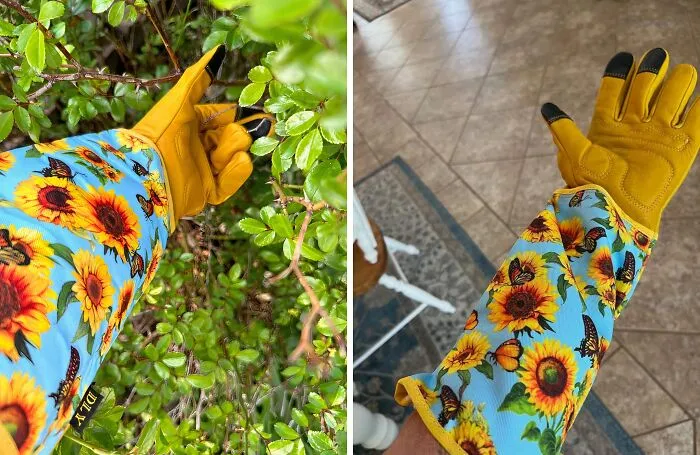 <a Style="Display:inline;" Href="Https://Www.amazon.com/Dly-Gardening-Gloves-Women-Gauntlet/Dp/B0c2z9nn3z?crid=30g4y6zf18xi6&dib=eyj2ijoimsj9.3w5hfu5gur_oszgs29fl5261bbesbocvfa8wnfjjovx6v58iyt-U8j_76-Okkexemltuv9yvcjjomvvdf5hhxnmywkplrdwu2hmknkx0bj8.anuq6ip2dr9agfbxvkdexbvs8_zwsob4go9xqk9ag5k&dib_tag=se&keywords=unique%2bgarden&qid=1723200126&sprefix=unique%2bgarde%2caps%2c184&sr=8-99-Spons&sp_csd=d2lkz2v0tmftzt1zcf9hdgzfbmv4da&th=1&linkcode=ll1&tag=bpostrich-20&linkid=9069a6aaff19a06edd1e0784f062cd8e&language=en_us&ref_=as_li_ss_tl" Target="_blank"><span Style="Font: Inherit; Color: #d74b1f;"> Breathable Cowhide Leather Gardening Gloves</Span> Are The Stylish Upgrade Your Green Thumb Deserves, Turning Weeding And Planting Into A Luxurious Experience