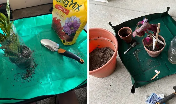 A <a Style="Display:inline;" Href="Https://Www.amazon.com/Onlysuki-Repotting-Transplanting-Gardening-Birthday/Dp/B0c1w3xg46?crid=30g4y6zf18xi6&dib=eyj2ijoimsj9.gwzw7vxpsxiyxrsqfj5sijd4-1geamzfvwz0gebjmp98tsbhpll6yxoahsmxs01op0lgtc3njznnrc8sboorzhin3raonjtuiq_drydskl6sekt6djixctynbthwhi-U2kir1yjqs5k748ruu7275kj1rl-Ghhvcfhvnref5qlztfnjzgbgdkmquv-Bk31rwgniltfs2qkpltrxl2usujzbrxq07xr58nw7xav-Cxwkipo7b0bxl4mugtlrmhsx5zqzlh4tielq8kre6yji0roiblhyjfpp2df-8a9lnozg.sgg7waoe_y_imz7fvq7ctr-Q8t7o6m9_z3wbgrrkleo&dib_tag=se&keywords=unique%2bgarden&qid=1723200057&sprefix=unique%2bgarde%2caps%2c184&sr=8-40&th=1&linkcode=ll1&tag=bpostrich-20&linkid=41df71683619d96d5a273ea1ad43444e&language=en_us&ref_=as_li_ss_tl" Target="_blank"><span Style="Font: Inherit; Color: #d74b1f;"> Repotting Mat</Span> Is The Gardening Game-Changer That Turns Messy Potting Sessions Into A Walk In The (Perfectly Manicured) Park
