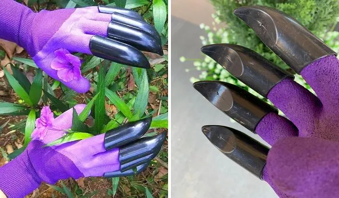<a Style="Display:inline;" Href="Https://Www.amazon.com/Gardening-Gloves-Digging-Planting-Gardener/Dp/B07r9spmyy?crid=vw7462guwmwz&dib=eyj2ijoimsj9.gjcyxhtbah2ddovpxinxy7rg7rlklawblistq9bwec7v4kfci-Nanwrciz3oekr8wgfmxlb2hxyw6en60wrxyy1hmrqbhtifumq77axlaktfkqocoqkzdupf56qgr5fcidekuhiizzws5sxnwrluob5cauw-Uhw0zkus14qb7zsyhmqkrwzjv4zqtallakhlwzk5abpwwvslcynu6sqdpxcuudjovr8y0gvdkpn6tbhnbxs2tzfdt7tjfqoolyqpbmadzh-Hdfkj6v7sb1_cow0kjvfttzucigfylmoicfk.3shqi6cb9pcgg7hhyndk01txgv0ynpygj4yglaprky8&dib_tag=se&keywords=garden+unique+items&qid=1723206952&sprefix=garden+unique+ite%2caps%2c196&sr=8-5&linkcode=ll1&tag=bpostrich-20&linkid=979b76d46d9934ced96d9e171152e5a2&language=en_us&ref_=as_li_ss_tl" Target="_blank"><span Style="Font: Inherit; Color: #d74b1f;"> Claw Gardening Gloves</Span> Will Make You Feel Like A Gardening Superhero, Digging, Planting, And Weeding With Wolverine-Like Precision