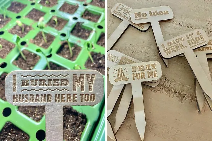 Forget Boring Labels And Give Your Garden A Good Laugh With These Hilarious <a Style="Display:inline;" Href="Https://Www.amazon.com/Funny-Plant-Markers-Garden-Gardener/Dp/B08b1bq9gs?crid=vw7462guwmwz&dib=eyj2ijoimsj9.gjcyxhtbah2ddovpxinxy7rg7rlklawblistq9bwec7v4kfci-Nanwrciz3oekr8wgfmxlb2hxyw6en60wrxyy1hmrqbhtifumq77axlaktfkqocoqkzdupf56qgr5fcidekuhiizzws5sxnwrluob5cauw-Uhw0zkus14qb7zsyhmqkrwzjv4zqtallakhlwzk5abpwwvslcynu6sqdpxcuudjovr8y0gvdkpn6tbhnbxs2tzfdt7tjfqoolyqpbmadzh-Hdfkj6v7sb1_cow0kjvfttzucigfylmoicfk.3shqi6cb9pcgg7hhyndk01txgv0ynpygj4yglaprky8&dib_tag=se&keywords=garden+unique+items&qid=1723206952&sprefix=garden+unique+ite%2caps%2c196&sr=8-34&linkcode=ll1&tag=bpostrich-20&linkid=277db79e5395956ea35d4da0529c94af&language=en_us&ref_=as_li_ss_tl" Target="_blank"><span Style="Font: Inherit; Color: #d74b1f;"> Wooden Garden Markers</Span>