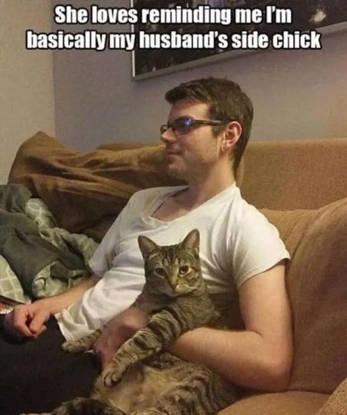 Animals Being The Emotional Support We Never Knew We Needed