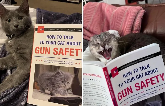 This Tongue-In-Cheek Guide,   <a Style="Display:inline;" Href="Https://Www.amazon.com/How-Talk-Your-About-Safety/Dp/045149492x?crid=2mf0u8gk5m2yi&dib=eyj2ijoimsj9.wtoiniez0oqpjjqkabvdpc7v0ihdh-Xt8nzzrjtgfjsdwnt2wgwjn1w5pg02o1j4tbbhwu21m2iti-Ghvffnblj26av4mbn0n2v6qmujyktjotgs8-8ntles04v02rzolvpngq31ytojggly97guzif_uskwadqu8n0elpcdh9esdm5ufoxn7gcf0qjwikd-7rjryc8hmxxwazjjo8kjudrpiun7wsms0a1snei2yxym5mir_ymhops1jdidgasoqr7a7htkw1jyiuh3paqkxttkxszapbux25_k9ndcfjg.1up_yj-Jb7vggbaz9zy2okq3d3cu1qcktpg0ao5g2y0&dib_tag=se&keywords=funny+books&qid=1723451660&s=books&sprefix=funny+boo%2cstripbooks%2c188&sr=1-6&linkcode=ll1&tag=bpraccoon-20&linkid=8c9c5f0c20db3593842c0e4baed059e2&language=en_us&ref_=as_li_ss_tl " Target="_blank"> "<span Style="Font: Inherit; Color: #d74b1f;"> How To Talk To Your Cat About Gun Safety</Span>", Is The Purr-Fectly Absurd Read For Any Cat Owner Who's Ever Wondered What Their Feline Friend Is Really Up To When They're Out On The Prowl