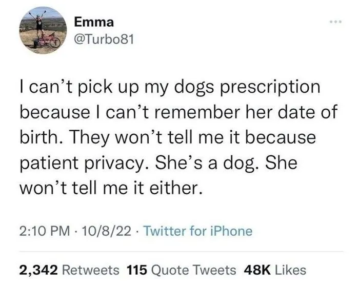 Tweet about dog prescription mix-up showing humor in animal memes popular for therapy and stress relief.