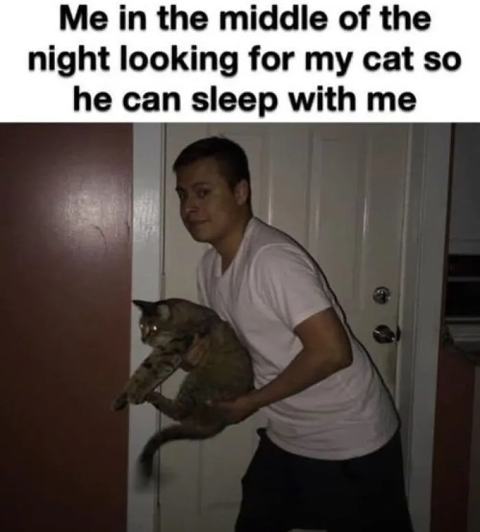 Person holding a cat in a dark room searching for pet, showcasing funny animal memes better than therapy.