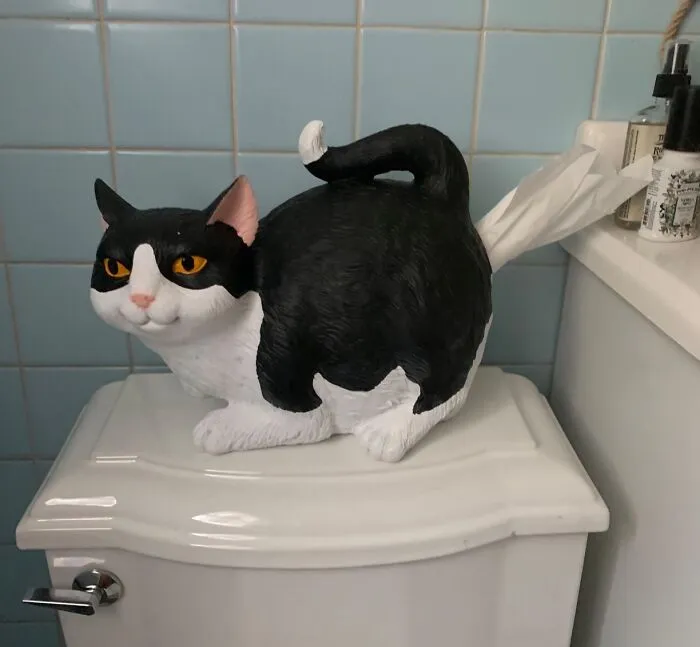 Sollidify Your Cat-Lady Status With This <a Style="Display:inline;" Href="Https://Www.amazon.com/Cat-Butt-Tissue-Holder-Standard/Dp/B079618l3w?crid=2nldg3ni0a0i7&dib=eyj2ijoimsj9.kn7qu9j_wphrdjxdaaxfpca9udmecb8vsc3ynyndivwoq869_xtej55xjbs6eseiewt_eo0qubyt-0mwyjnxvwv9nbtpzy6z2bppfszg4dd7waxs3pqgi6yrpatdomdyamtv_2fhkptxkjp5cgjmc1stmb1twtt60alaxtpv6iibtecefrssaaryhaz0srguwpe5irn_lwdubheqgvgzengiwligtrow-Yyo1jpb1knkusnvhxkyuu1onaomka40kfa2akygrl_meqpfdlrhhgcracqjarn20rtze7bkgzs.3rlgq_q4iryq4_0dcec6r1qp8wazxubqj_--K3xl9xs&dib_tag=se&keywords=cat%2bbutt%2btissue%2bholder&qid=1710401880&s=home-Garden&sprefix=cat%2bbutt%2btissue%2bholder%2b%2cgarden%2c164&sr=1-4&th=1&linkcode=ll1&tag=bpraccoon-20&linkid=11ee601acc32d5e2b5da605160955b68&language=en_us&ref_=as_li_ss_tl " Target="_blank"><span Style="Font: Inherit; Color: #d74b1f;"> Cat Tissue Holder</Span>