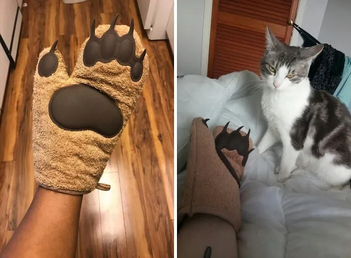 These <a Style="Display:inline;" Href="Https://Www.amazon.com/Fred-Bear-Hands-Oven-Mitts/Dp/B00i0vulxc?ie=utf8&th=1&linkcode=ll1&tag=bpraccoon-20&linkid=45aec533668056e79710aabbe2d5fe78&language=en_us&ref_=as_li_ss_tl " Target="_blank"><span Style="Font: Inherit; Color: #d74b1f;"> Bear Paw Oven Mitts</Span> Will Have You Handling Hot Dishes Like A Grizzly Bear Handling A Salmon - With Confidence And Zero Burns