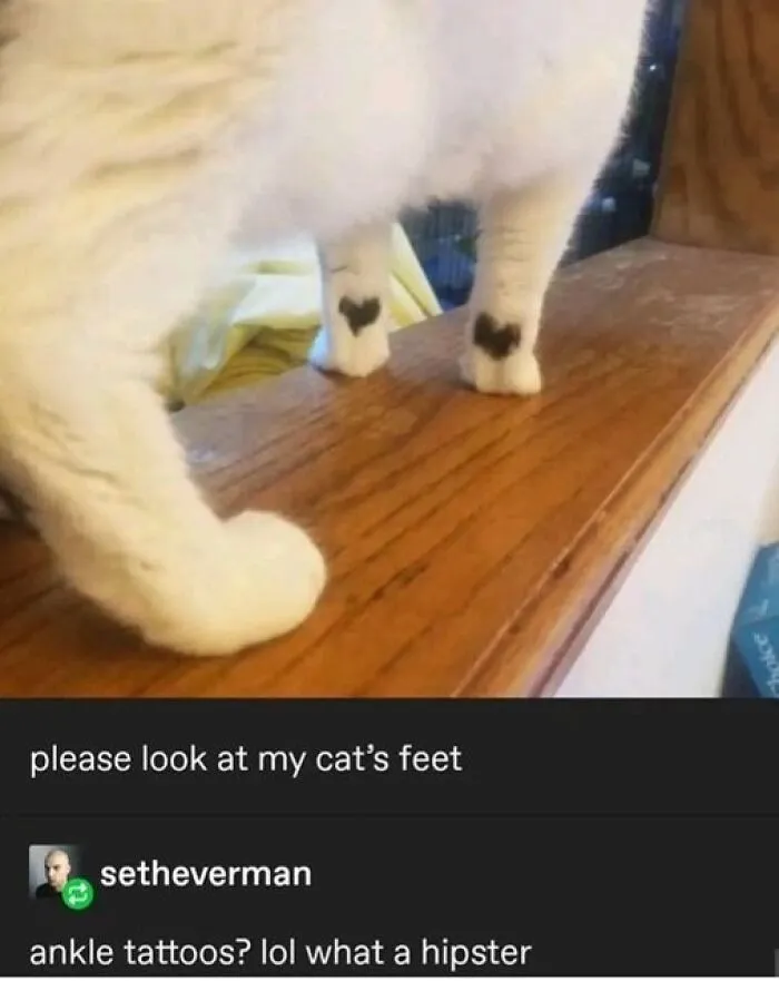 People Say These 50 Animal Memes Are 99% Better Than Therapy