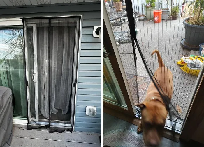 This <a Style="Display:inline;" Href=" Https://Www.amazon.com/Magnetic-Screen-Door-Partition-Friendly/Dp/B074twkvqb?ie=utf8&linkcode=ll1&tag=bppenguin-20&linkid=709e9f4c70711a03a8a01af4f55c0e69&language=en_us&ref_=as_li_ss_tl" Target="_blank"><span Style="Font: Inherit; Color: #d74b1f;"> Magnetic Screen Door</Span> Is The Hands-Free Bouncer Your Doorway Needs, Letting In The Fresh Air While Keeping Those Pesky Bugs Out (And Your Sanity Intact)