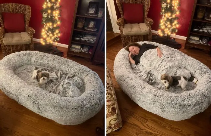 This Isn't Your Dog's Bed, It's Your New Favorite Napping Spot! The <a Style="Display:inline;" Href=" Https://Www.amazon.com/Dp/B0bfdnszwr?ascsubtag=7691435%2c28%2c35%2cd%2c0%2c0%2cbf-Web-Hf%2c900%3a2%3b974%3a2%3b1125%3a1%3b1338%3a1%2c47432774%2c0%2c0&ie=utf8&th=1%25252c0%252c0%2c0&btn_ref=srctok-94841aa19e430b2b&linkcode=ll1&tag=bpdonkey-20&linkid=bddbbcc6ae42689ba6b007d95a6ca293&language=en_us&ref_=as_li_ss_tl" Target="_blank"><span Style="Font: Inherit; Color: #d74b1f;"> Human-Sized Big Dog Bed</Span> Is So Comfy, You Might Just Have To Fight Your Furry Friend For It