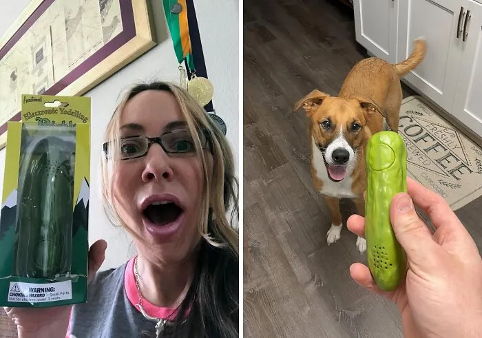 The <a Style="Display:inline;" Href=" Https://Www.amazon.com/Accoutrements-11761-Yodelling-Pickle/Dp/B0010vs078?crid=4gzxe9i0qpyv&dib=eyj2ijoimsj9.xbieejt2bx6992wc36bc601tow5ud3r_nwzdg4qv9lt7ken5syj4hpwxedtex8pcs_ikixwxoyr_5smcp__rmxm1s2tn4jyy8tsnqnh1jbnk4fz36omfojwqxlut930uuqid1xwsyvxgmkcuteu62fe5007mohzcrutajqz5kycykzmv_wcjruk6pd6c9anculnrfshe07mstiief6k9waxscbpzudzcw2xc251k2mij0oxcmc8vskznzsmmtrj0yp6skvg6dr9_yvz6vzvix9-5pring9j3maln0jaeptm.iumno6lyvlo239qlvgm_417bq4y5svzwvdlwbhxclqo&dib_tag=se&keywords=most+wished+for+items+on+amazon&qid=1722933314&sprefix=most+wishe%2caps%2c240&sr=8-52&linkcode=ll1&tag=bprhinoceros-20&linkid=83a17695a9357a4a391d5e715e0cb4a4&language=en_us&ref_=as_li_ss_tl" Target="_blank"><span Style="Font: Inherit; Color: #d74b1f;"> Yodeling Pickle</Span> Is The Dill-Ightfully Absurd Gag Gift That Will Leave Everyone In Stitches (And Maybe A Little Confused)