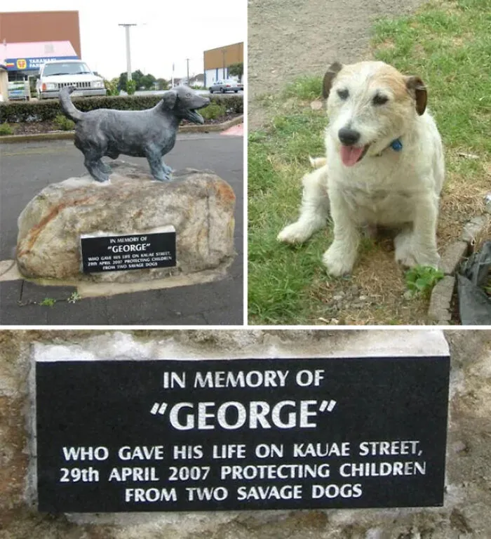 No nos merecemos a los perros