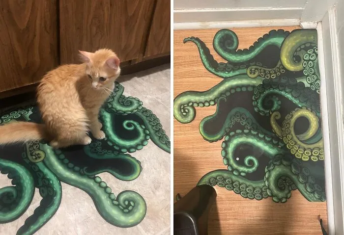 This <a Style="Display:inline;" Href="Https://Www.amazon.com/Czyy-Tentacles-Microfiber-Absorbent-Anti-Slip/Dp/B0c3gjlb5z?crid=3hhrr59u83bfg&dib=eyj2ijoimsj9.gmp5vhkxvsrflaipaztcyi9o1nmpajvhy5tkyomcn2c4owtn5pe7rysngzm83tdrzkksizjnsrfaqzvk0nkydh9kfxkxqtdukfopf8cu69c8izsxo5-Tmjkdmbrbxavjihgfymeihearfztgiwpobvrymscwpdek1mq8msnabyfjostdtt5lspht1u6arufthfxlkq-U4b0wws7axc0mjjujtoskk_rue-B-2f1bcqxnzkbdsazbvsxtb5kuupnyveermjgkb72uv0l7iyrvodmbmd52nzxlpowfgj9h_-A.hmrkeregnq73ii4ryj9wvbsfvuoyjmalu5lqzjymbhe&dib_tag=se&keywords=unique+home+decor&qid=1722941030&sprefix=unique+home+deco%2caps%2c200&sr=8-37&linkcode=ll1&tag=bpalpaca-20&linkid=b5f854dfc7b0109744e872b2ea9e8749&language=en_us&ref_=as_li_ss_tl" Target="_blank"><span Style="Font: Inherit; Color: #d74b1f;"> Octopus Rug</Span> Is A Must-Have For Any Ocean Lover Or Anyone Who Appreciates A Touch Of Quirky Fun In Their Home Decor
