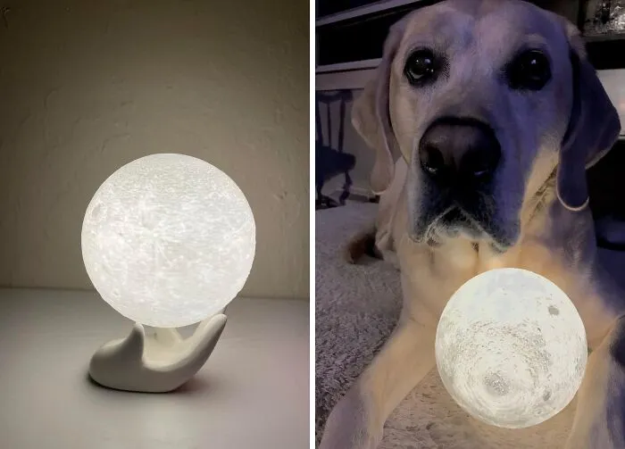 This <a Style="Display:inline;" Href="Https://Www.amazon.com/Mydethun-Ceramic-Lighting-Brightness-Halloween/Dp/B074qm7756?crid=3hhrr59u83bfg&dib=eyj2ijoimsj9.i3ooyh9dnfetukq-20oecrba4zzpn6sy7ipgmfyukmwum4hxzenocstib2_mko6rwktjk5do2b27ddwrwoq8tpnf9m2eorpsqywx7xnvzkflkgmrce1uyzq57xmkqvr2yt2tjtp8ijaldmefd7uu_m5yle1-Uocjctzixt4-Sbw38yajcudjb7vgqtttjzrtw1kfl5lz8bc0ijuntknkcrmqp31fe5g0g5l8lnmdbrig9fvgbnexa5lubtokk9nanagtkij9hzj3botswmws5ne_alquo8r9ismix_jnh-O.xp1sozsqgi-Yniagtp7ebjzacjacin8ftzin8ugqqiu&dib_tag=se&keywords=unique%2bhome%2bdecor&qid=1722941151&sprefix=unique%2bhome%2bdeco%2caps%2c200&sr=8-162&th=1&linkcode=ll1&tag=bpalpaca-20&linkid=80c4089b4968f9bdf67a3234dfd6985e&language=en_us&ref_=as_li_ss_tl" Target="_blank"><span Style="Font: Inherit; Color: #d74b1f;"> 3D Moon Lamp With Ceramic Base</Span> Will Make Your Room Feel Like A Lunar Landing Site, Minus The Spacesuit And Zero Gravity