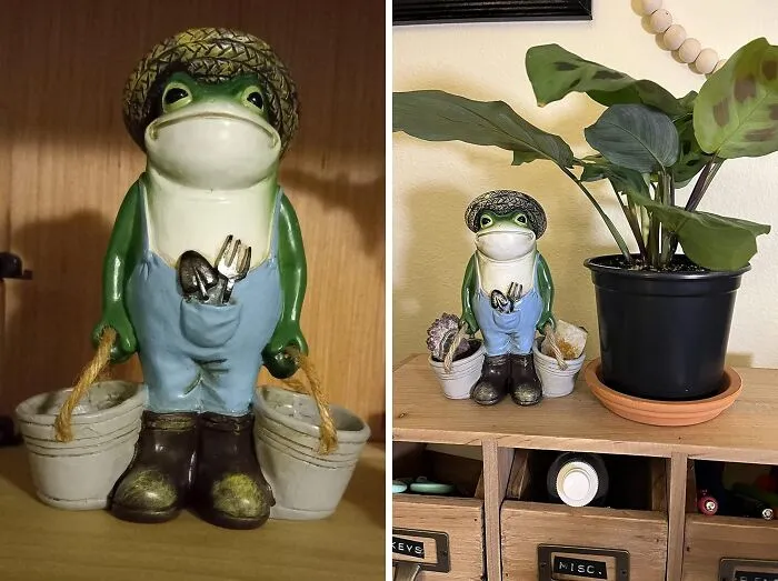 This <a Style="Display:inline;" Href="Https://Www.amazon.com/Garden-Statue-Outdoor-Decoration-Housewarming/Dp/B097d521ww?dib=eyj2ijoimsj9.4meiztiwhve2f3hc0ia5k2jtzqgu2-2ujl0yu7aapb1x2au0gvzgnptzecz_nnaaer8g6f8bqoq4w54jzdclwpkho-9qb4s5rpfi2llm7cckuiv19iz4k9ak4tsvtyvuzh54ramp2lprb2ag7l4p19p1d8_axrgtkhkwtchf-Yvqby2keqzkoq2qygh23gjnpc2pmvm2vdnrhgqyow1_8ryduks7227hnrmzj9wyp65ixv8f5dacb7lwh1vbim0odl_c66wr0mgpl9dkqealakj4h8jkkm1-Jgmly8ot5_g.wcymdw5uddn_s07vhi_xcj1r9becqt-Ei9-R0qpwapu&dib_tag=se&keywords=funny+home+decor&qid=1723012432&sr=8-61&linkcode=ll1&tag=bpalpaca-20&linkid=4cd9ff35bb6bafc13dd03b00fb08b3c8&language=en_us&ref_=as_li_ss_tl" Target="_blank"><span Style="Font: Inherit; Color: #d74b1f;"> Gardening Frog Statue</Span> Is The Whimsical Companion Your Flower Beds Have Been Missing - He's Always Ready To Lend A Helping Hand