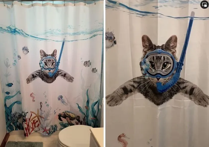 Your Bathroom Is About To Become The Coolest Reef Around With This Playful And Unique <a Style="Display:inline;" Href="Https://Www.amazon.com/Fowocu-Dinosaur-Japanese-Waterproof-Farmhouse/Dp/B0994fzxf9?crid=2zi84mddbvdso&dib=eyj2ijoimsj9.wkvqi0rgfetjh7fqasuwda1hvcevpqxfhju3mjaitg-Kaxy6swlf_-Ww81-Jvpya7ezazwgjt_dquqcppsuikbnud-Rf5ajavy5pxjpvcc7t6kmk37issfil5abomqojdlvz55uatiije1sftd2akhunk0ejg29whfaiw5nevd9i0qg1muy0vqwvjbphazogrkn4d_vmm2mm9c37pgpk76rz7gpbzde7jfcfh740yswiiip1ej3_5yx1qfe7tprqzf5w0ryufvjmm1vi5xxpn1_bunybuaedomfbyfezpvo.mwpaglowcbi2dwri-_x5-G_lxfypjpex-1bktiiqozq&dib_tag=se&keywords=funny%2bshower%2bcurtain&qid=1723016281&sprefix=funny%2bsho%2caps%2c192&sr=8-11-Spons&sp_csd=d2lkz2v0tmftzt1zcf9tdgy&th=1&linkcode=ll1&tag=bpalpaca-20&linkid=284631a89744142766374f2f63eeb2da&language=en_us&ref_=as_li_ss_tl" Target="_blank"><span Style="Font: Inherit; Color: #d74b1f;"> Snorkeling Cat Shower Curtain</Span>