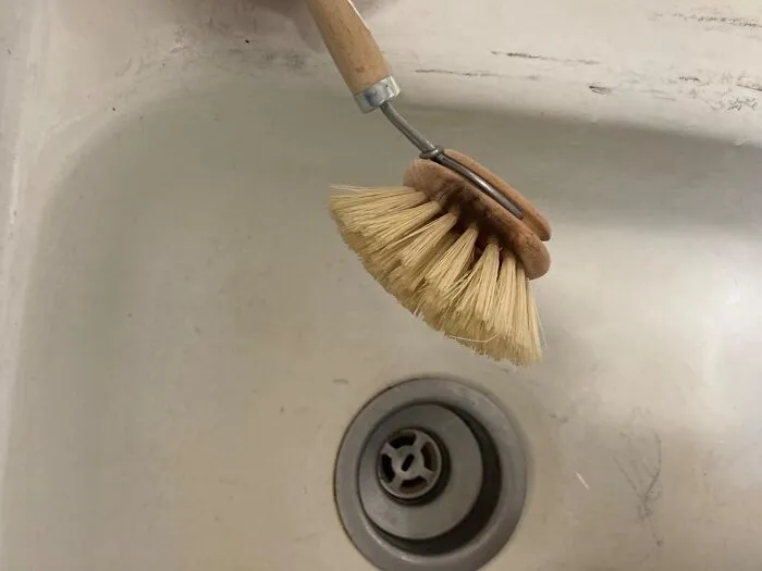The <a Style="Display:inline;" Href="Https://Www.amazon.com/Redecker-All-Purpose-Kitchen-Beechwood-Tampico/Dp/B003xcvr86?ie=utf8&th=1&linkcode=ll1&tag=bpmole-20&linkid=0dba841f38e318a05a7b35dbe28273c7&language=en_us&ref_=as_li_ss_tl" Target="_blank"><span Style="Font: Inherit; Color: #d74b1f;"> Tampico Fiber Bristle Brush</Span> Are The Natural Cleaning Warriors Your Home Needs!