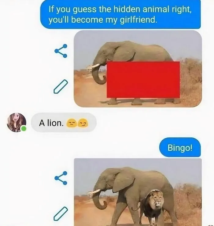 50 Funny And Random Memes To Brighten Your Day