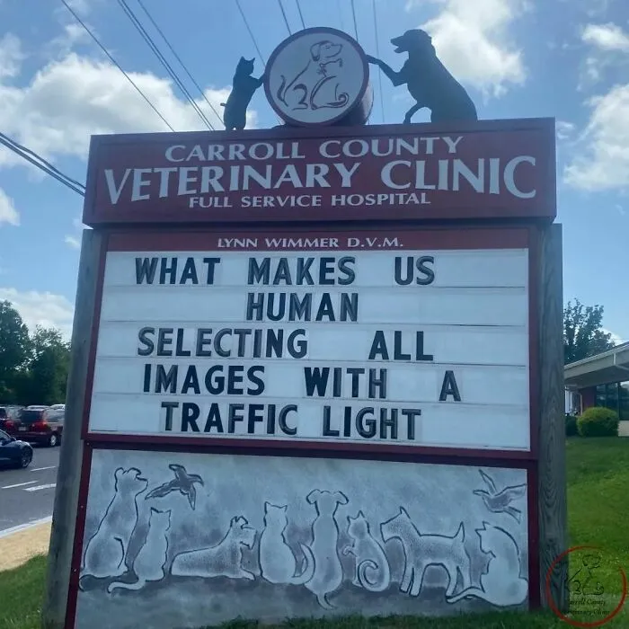 No Fleas, Just Jokes: 40 Signs That Had Tails Wagging (New Pics)