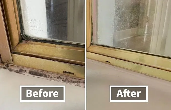 Scrubbing Grout Is About As Fun As Watching Paint Dry. Let This   <a Style="Display:inline;" Href="Https://Www.amazon.com/Apulito-Cleaning-Cleaner-Bathroom-Household/Dp/B099w7dtbh?ie=utf8&linkcode=ll1&tag=bpscorpion-20&linkid=7ef27cf54670f54a1a93cf304facdd0e&language=en_us&ref_=as_li_ss_tl " Target="_blank"><span Style="Font: Inherit; Color: #d74b1f;"> Black Stain Cleaner Gel</Span> Do The Dirty Work For You, So You Can Spend Your Time Doing Something Way More Exciting