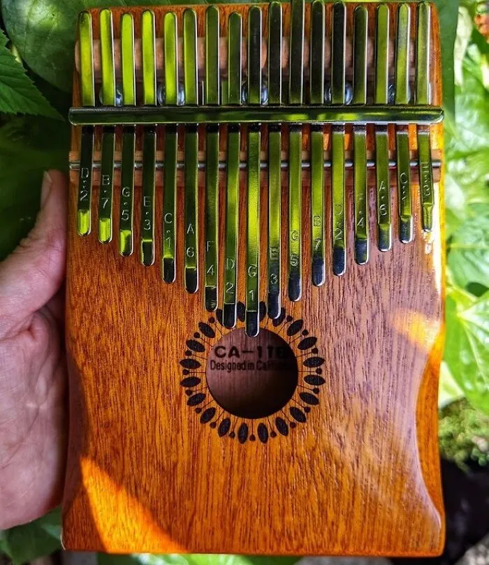 Your Thumbs Will Be Dancing To Their Own Beat With This Mesmerizing   <a Style="Display:inline;" Href="Https://Www.amazon.com/Kalimba-Portable-Finger-Adults-Beginners/Dp/B07q38fwfj?ie=utf8&linkcode=ll1&tag=bpwoodpecker-20&linkid=12eb3652c896d1e1e2dfb8211fe94882&language=en_us&ref_=as_li_ss_tl " Target="_blank"><span Style="Font: Inherit; Color: #d74b1f;"> Kalimba Thumb Piano</Span>