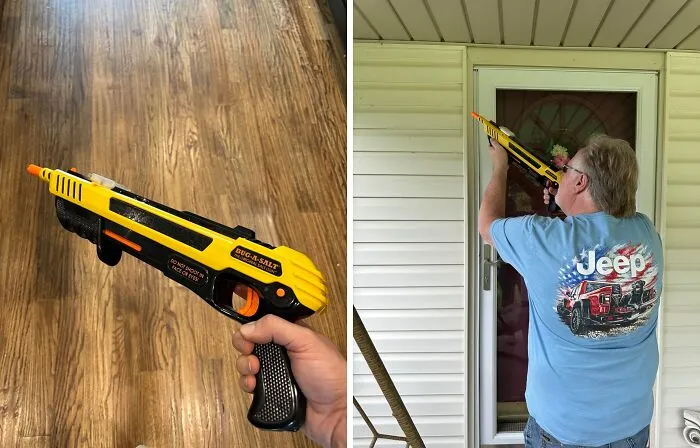 Bugging Out Over Pesky Flies? This   <a Style="Display:inline;" Href="Https://Www.amazon.com/Dp/B089cdccr1?ascsubtag=7716193%2c21%2c30%2cd%2c0%2c0%2cbf-G-Pn%2c900%3a2%3b974%3a3%3b1125%3a1%3b1338%3a1%2c49907932%2c0%2c0&ie=utf8%25252c0%252c0%2c0&btn_ref=srctok-E905b938da8296a4&linkcode=ll1&tag=bpwoodpecker-20&linkid=35435d5cd8dfbe98a38ab560de066831&language=en_us&ref_=as_li_ss_tl " Target="_blank"><span Style="Font: Inherit; Color: #d74b1f;"> Salt Gun</Span> Is The Seasoning They Won't Be Buzzing About!