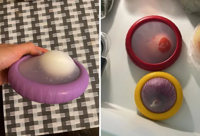 Half An Onion Got You Feeling Like Shrek In The Swamp? These   <a Style="Display:inline;" Href="Https://Www.amazon.com/Dp/B0c284q7v5?asc_item-ID=amzn1.ideas.1f7io1wof84kb&th=1&linkcode=ll1&tag=bpferret-20&linkid=01515799d13f6bd4be92ba0f2ae1d737&language=en_us&ref_=as_li_ss_tl " Target="_blank"><span Style="Font: Inherit; Color: #d74b1f;"> Silicone Vegetable Covers</Span> Will Keep Your Fridge Smelling Fresh (And Ogre-Free)!