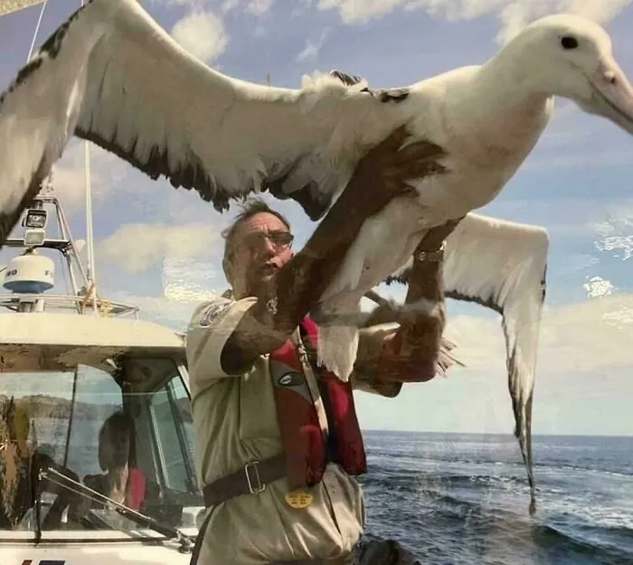 Hombre sosteniendo un ave marina extremadamente grande en un barco en el océano, mostrando cosas extremadamente grandes.