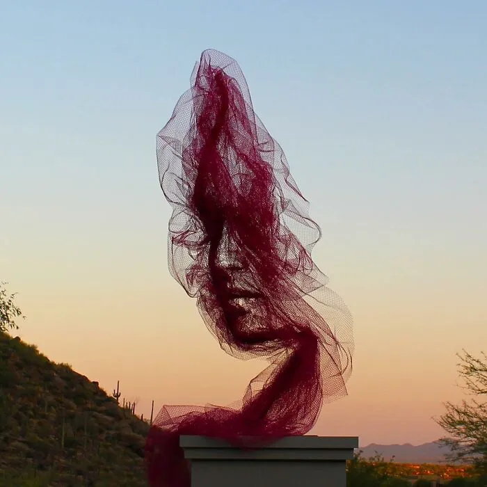 Artist Uses Single-Length Tulle And Shapes It To Look Like A Painting (31 Pics)