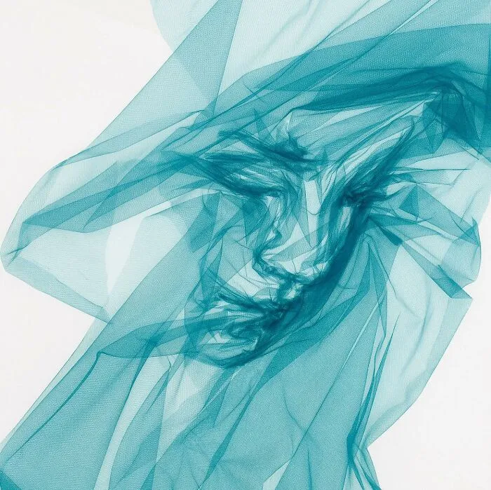 Artist Uses Single-Length Tulle And Shapes It To Look Like A Painting (31 Pics)