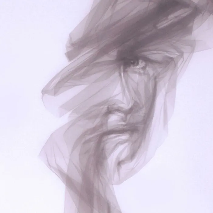Artist Uses Single-Length Tulle And Shapes It To Look Like A Painting (31 Pics)