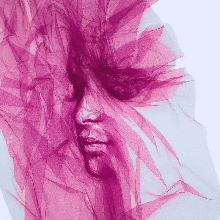 Artist Uses Single-Length Tulle And Shapes It To Look Like A Painting (31 Pics)
