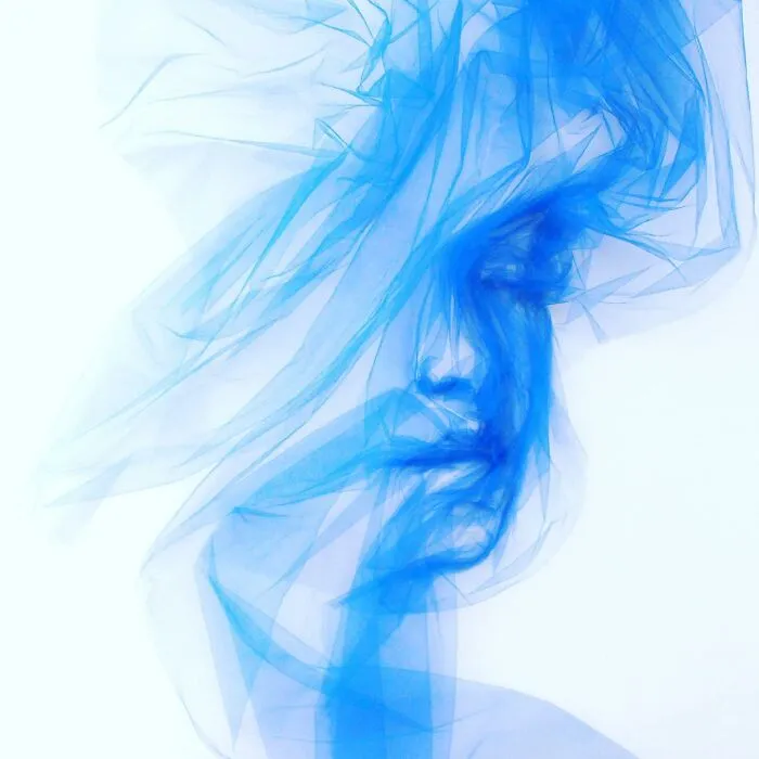 Artist Uses Single-Length Tulle And Shapes It To Look Like A Painting (31 Pics)