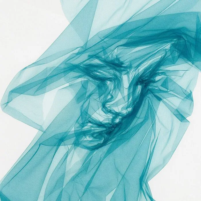 Artist Uses Single-Length Tulle And Shapes It To Look Like A Painting (31 Pics)