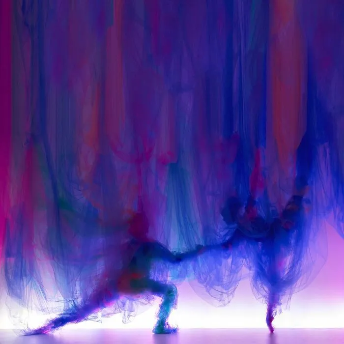 Artist Uses Single-Length Tulle And Shapes It To Look Like A Painting (31 Pics)