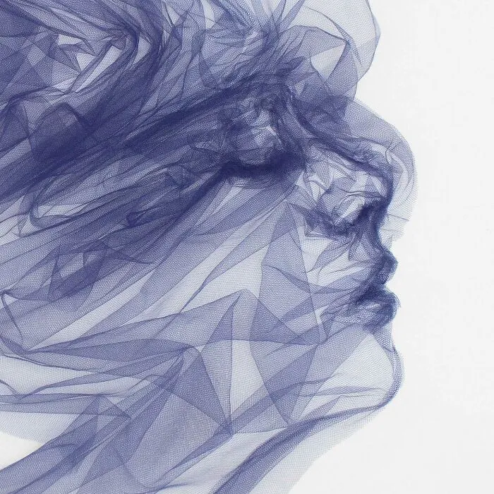 Artist Uses Single-Length Tulle And Shapes It To Look Like A Painting (31 Pics)