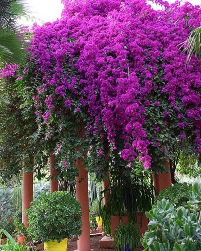 30 Heavenly Photos Of Gardens That Were Shared By This Instagram Account