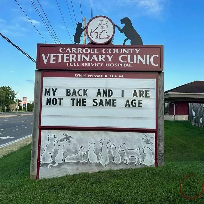 No Fleas, Just Jokes: 40 Signs That Had Tails Wagging (New Pics)