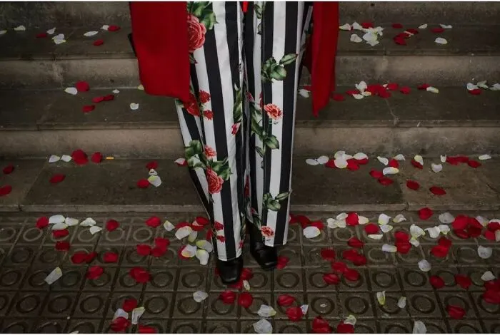 Fun Accidental Moments Captured By This Street Photographer (50 New Pics)