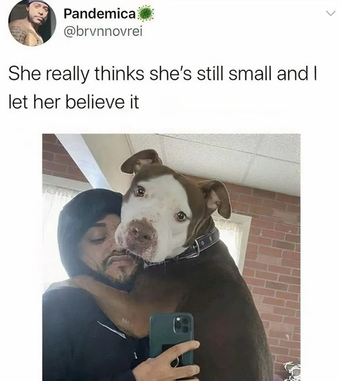 50 Heartwarming Posts To Combat The Negativity Of The World