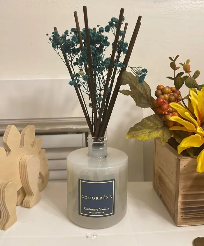 <a Style="Display:inline;" Href="Https://Www.amazon.com/Cocorr%c3%adna-Diffuser-Fragrance-Essential-Bathroom/Dp/B0b24qj217?ie=utf8&th=1&linkcode=ll1&tag=bpdog-20&linkid=4eb8cfa8ef2597a998af8b51d8b0e93b&language=en_us&ref_=as_li_ss_tl" Target="_blank"> <span Style="Font: Inherit; Color: #d74b1f;"> Clean Linen Scented Diffuser</Span> – Perfect Way To Create A Calming And Inviting Atmosphere In Any Room!