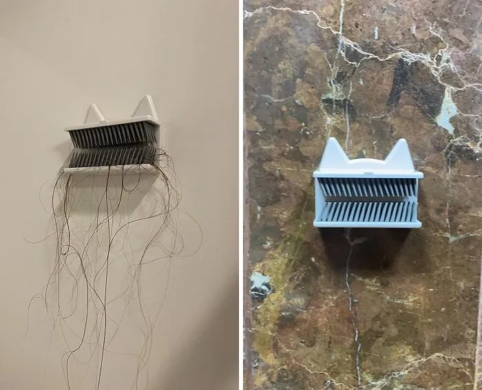 Kiss Clogged Drains Goodbye! This <a Style="Display:inline;" Href=" Https://Www.amazon.com/Dp/B08p2ld3mk?asc_item-ID=amzn1.ideas.35xuas4kx1xdh&th=1&linkcode=ll1&tag=bphyena-20&linkid=8cb456c3fbdd0573a500611e8c19e707&language=en_us&ref_=as_li_ss_tl" Target="_blank"><span Style="Font: Inherit; Color: #d74b1f;"> Hair Catcher Shower Wall</Span> Will Catch Those Pesky Strands Before They Wreak Havoc On Your Pipes