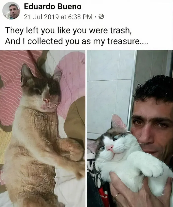 50 Heartwarming Posts To Combat The Negativity Of The World
