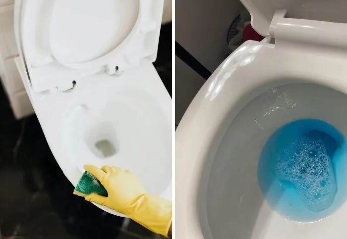 Banish grime and odors from your toilet bowl naturally! Mix up a simple solution of baking soda and vinegar for a DIY cleaner. Or, for effortless and continuous cleaning, drop a <a style="display:inline;" href="https://www.amazon.com/Vacplus-Automatic-Cleaner-Bathroom-Long-lasting/dp/B084RFRG6X?crid=2DQ1OHUO2LLT&dib=eyJ2IjoiMSJ9.mhfsmHWl8ZsAmjiROE9UX6egQbTbW5os_viO0sgEVTtYJZ4qSVjTfdmUt7M3Xcd-cDw3iCECdEXfVfmJx119xjEmLxAWhmZxcPj01g2YUbVwj8YA_70ma1A9wZNXZwVR8s0Qim7gt4mX1-r2Ul0ZHtPA3JfUMGOEVxP8MKY8krwZ5iXtfM5LtU3mI4lf3rOhBjwUXlAKOy9JX0BKhbLtzzw7aA7su3W9YLcoOxhjsW_PfVD8smBK9gQn2ekrk33s9AOW9NVsic29LWGviQH6nCsjzfQQATJK9F4iOTD1GJU.zwoBa7RKnxZu68aqsLkWbhfyls7V-0D2r4lEWegeUBs&dib_tag=se&keywords=toilet+cleaning+tablets&qid=1724311799&sprefix=toilet+cleaning+%2Caps%2C282&sr=8-2-spons&sp_csd=d2lkZ2V0TmFtZT1zcF9hdGY&psc=1&linkCode=ll1&tag=bpwhale-20&linkId=9468fcdad1c1bdee4fd09790480e7024&language=en_US&ref_=as_li_ss_tl " target="_blank"><span style="font: inherit; color: #d74b1f;"> Vacplus Automatic Toilet Bowl Cleaner Tablet </span> into your tank. Each flush releases a powerful cleaning agent, keeping your toilet fresh and sparkling clean with minimal effort on your part.