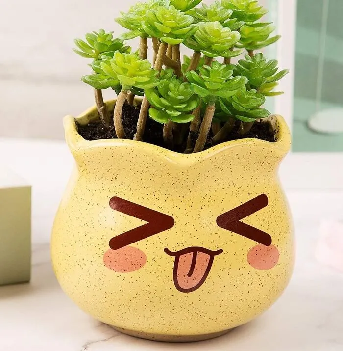 These Adorable <a Style="Display:inline;" Href="Https://Www.amazon.com/Dp/B07qpybq6h?ascsubtag=7674318%2c17%2c34%2cd%2c0%2c0%2cbf-Ssrch%2c900%3a2%3b974%3a3%3b1125%3a2%3b1338%3a1%2c46394897%2c0%2c0%2c0&btn_ref=srctok-F2f903247b84cc54&th=1&linkcode=ll1&tag=bpshark-20&linkid=2dce40cfb84995822efc5970ac0c6633&language=en_us&ref_=as_li_ss_tl " Target="_blank">     <span Style="Font: Inherit; Color: #d74b1f;"> Succulent Pots</Span> Show How You Really Feel On The Inside