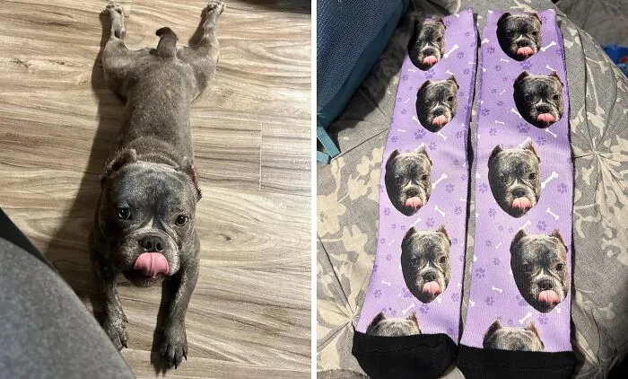 You Can Finally Take Your Furry Friend With You Wherever Thanks To These <a Style="Display:inline;" Href="Https://Www.amazon.com/Custom-Personalized-Printed-Picture-Tracks/Dp/B07w6tdfkr?ie=utf8&linkcode=ll1&tag=bpshark-20&linkid=8ae4cac3cb7187303f826e2d2931add8&language=en_us&ref_=as_li_ss_tl " Target="_blank">     <span Style="Font: Inherit; Color: #d74b1f;"> Custom Socks</Span> 